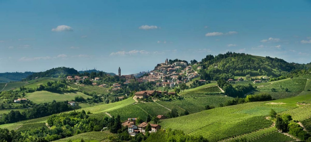 The Lesser-Known Grape Varieties Deserving of Our Attention