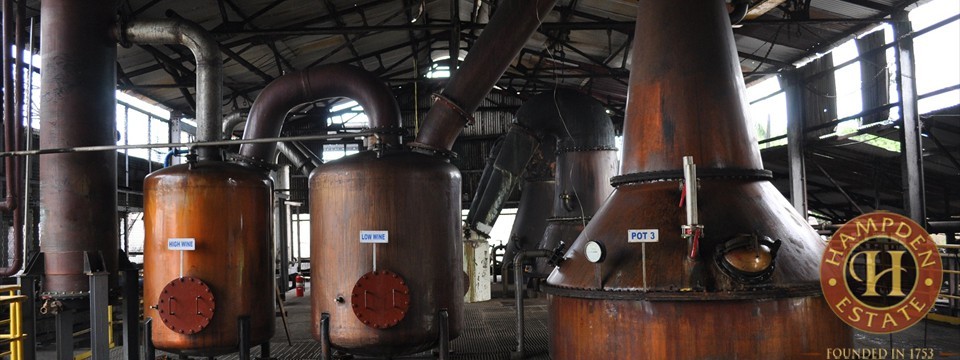 Rum and The Future
