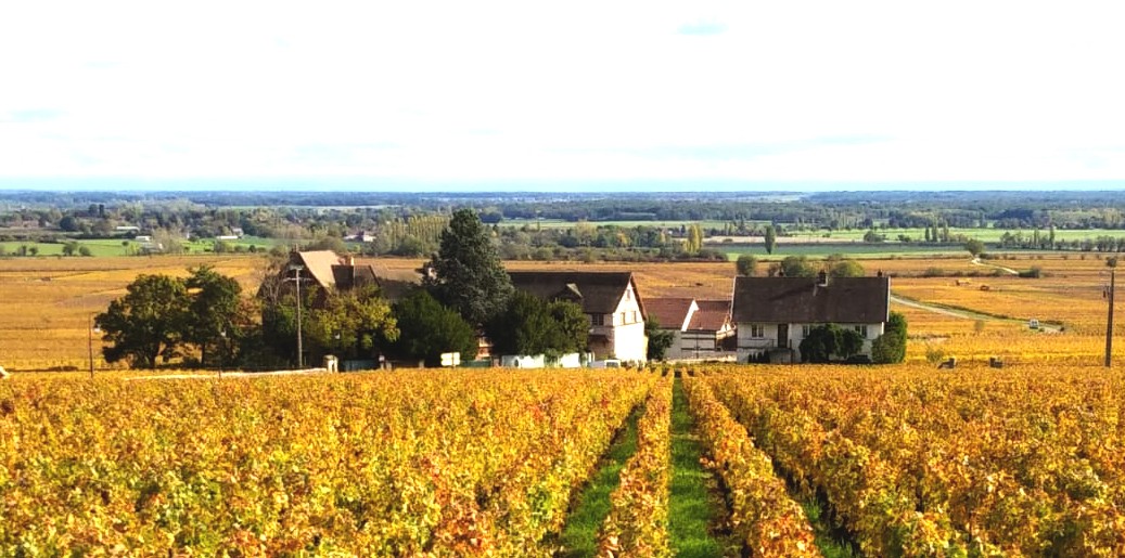 2018 Burgundy En Primeur