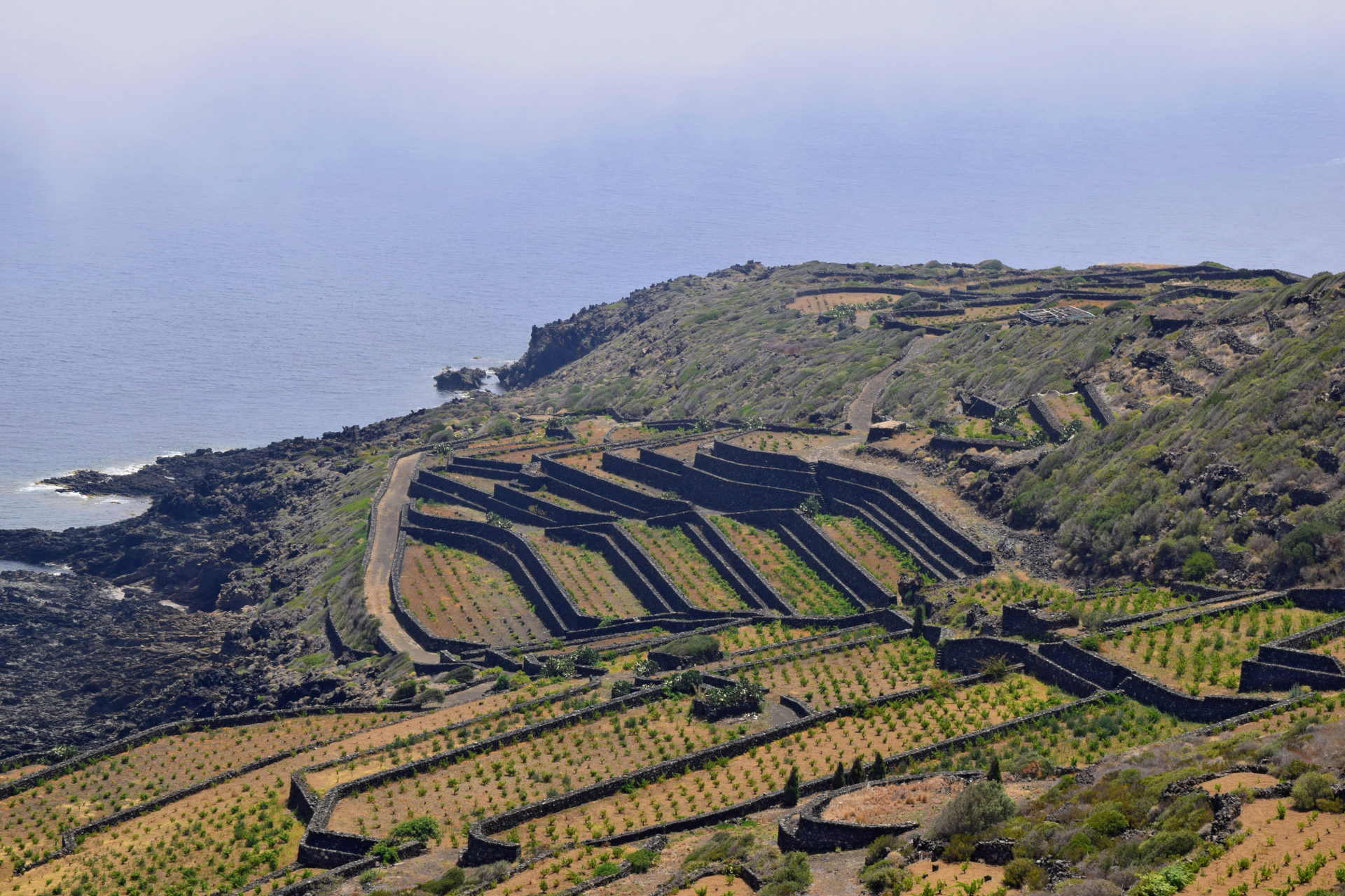 An Introduction To: Sicily